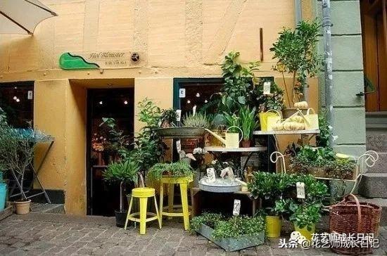 文章图片5