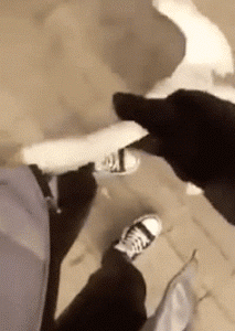 搞笑的动图GIF：这个手相不怎么好，定有牢狱之灾！