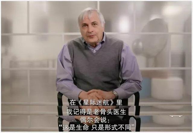 外星伴侣歌词什么意思
