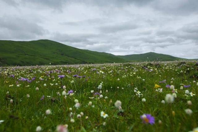 赏俄木塘 游花湖 观朗木寺 太阳信息网