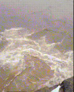 搞笑的动态图GIF：路边小哥突如其来的一场艳遇