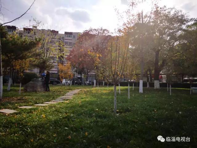 锂辉石破碎机