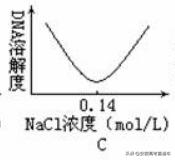 酵母菌属于什么生物