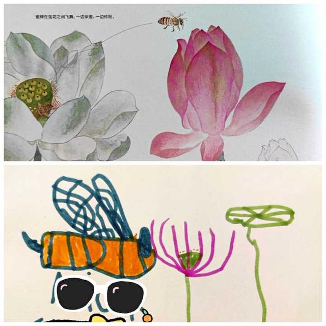 如何给孩子挑选接地气又唯美的植物绘本？教你实用三招