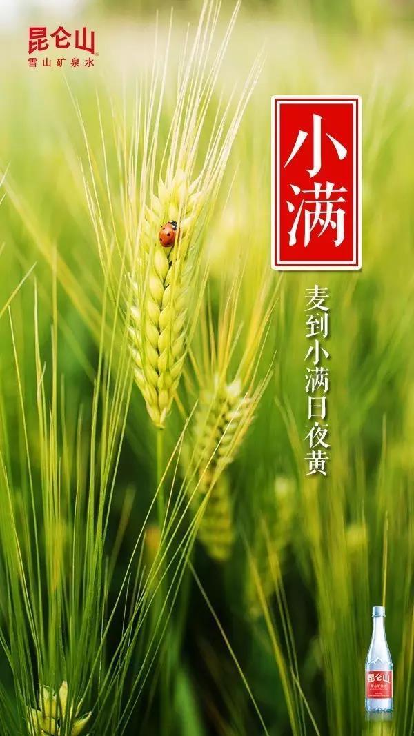 “小满节气”各大品牌借势文案,创意灵感来了