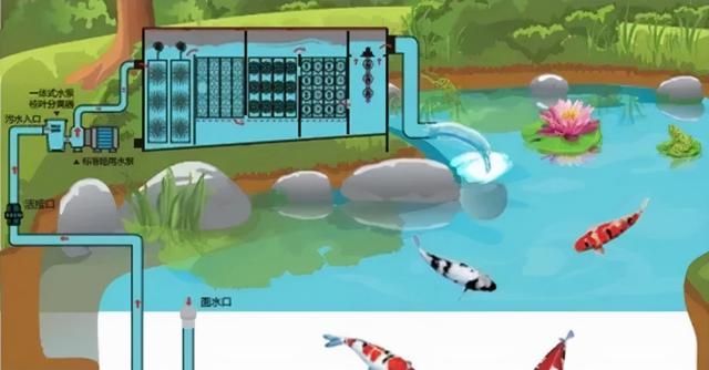 鱼池循环过滤机