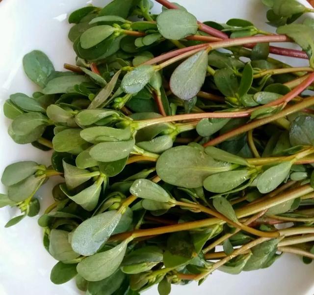 药补不如食补，日常蔬菜功效一览表！该吃什么，一目了然