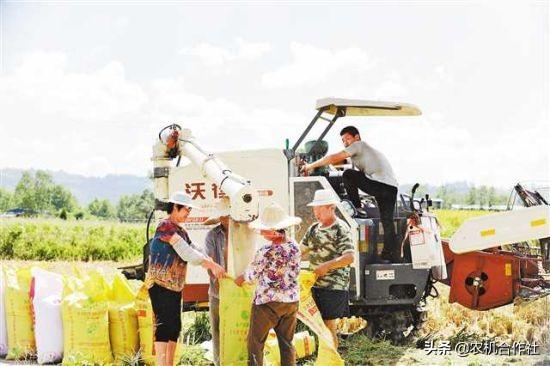 我是重庆荣昌人哪里有学破碎机