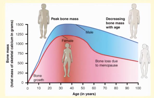 60岁骨质疏松，怎么补都没用？医生：罪魁祸首是食盐