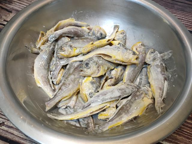 小黄花鱼