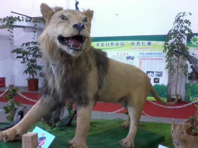 深圳机械展展馆