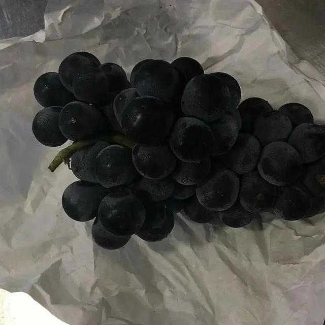 适合发朋友圈的短句子文案