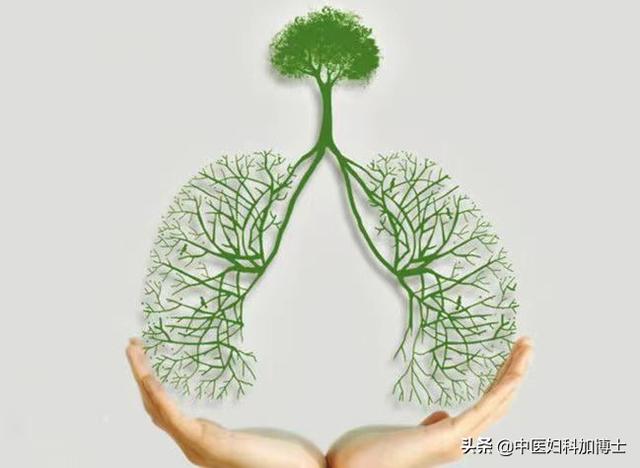 肺开窍于鼻，秋燥最易诱发鼻炎，小小香囊有妙用