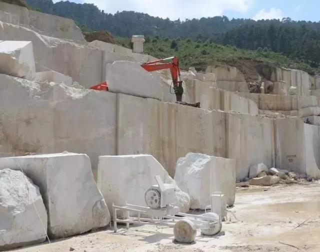 东莞首富王金城：初中辍学卖菜起家，身家300亿，50岁却患癌早逝