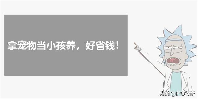 杭州宠物用品批发市场 杭州宠物用品批发市场（义乌最大宠物用品批发市场） 动物