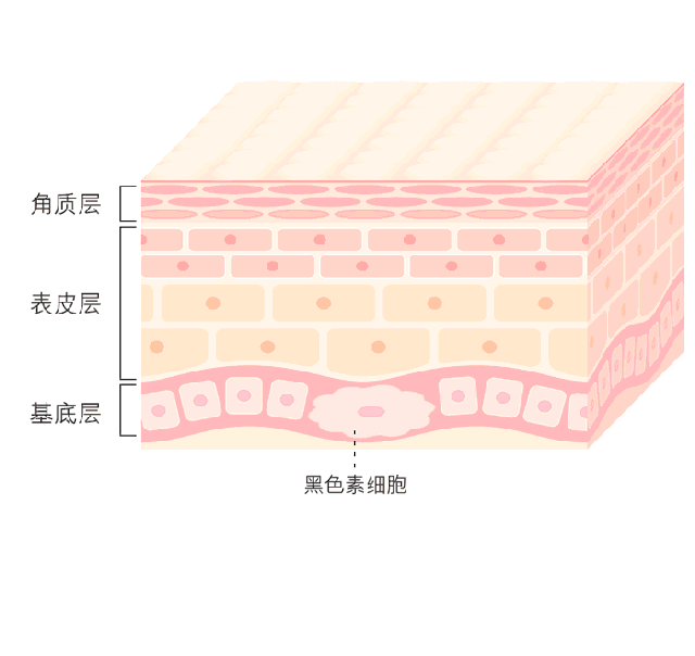 素姬身体乳真的会变白吗