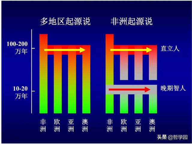 拉萨卧式过滤机