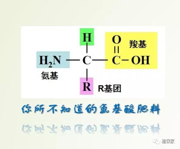 腐殖酸、海藻酸、甲壳素、鱼蛋白、氨基酸最权威解释！分清，认清7