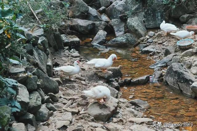 大理鹅卵石制砂机品牌推荐