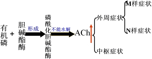 为啥禁百草枯不禁它？带你详细了解有机磷农药中毒4