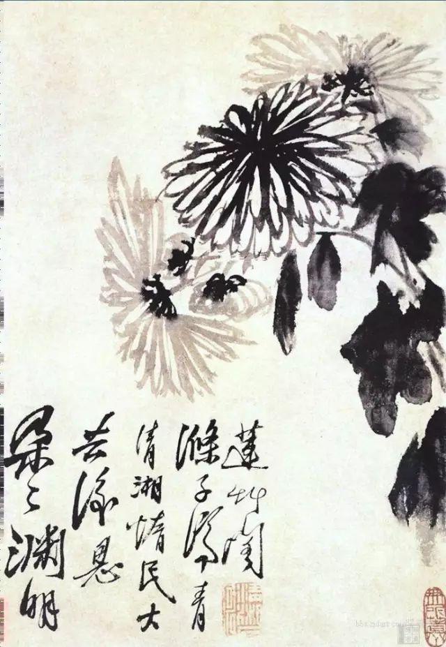 花中四君子是指什么