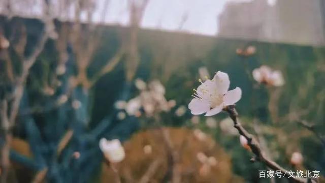 ĴաƬú | 롰ʹ ĴӰƷн