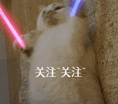 汪星人是什么意思