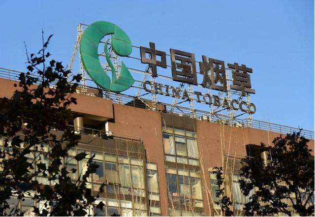 万科是国企吗