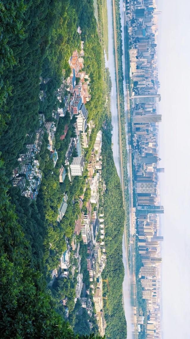 2019长沙药用机械展