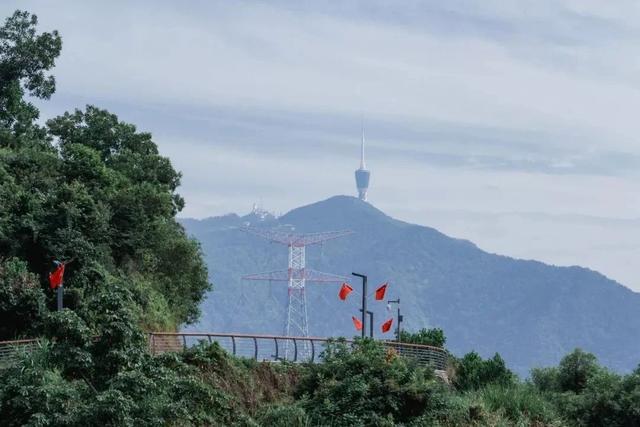 深圳居然私藏了这么多绿道，一个比一个美