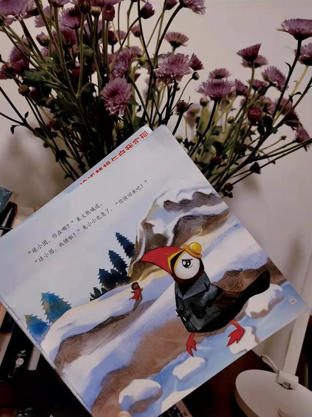 每个孩子都是“呆大熊”，去开启属于他们独一无二的人生冒险