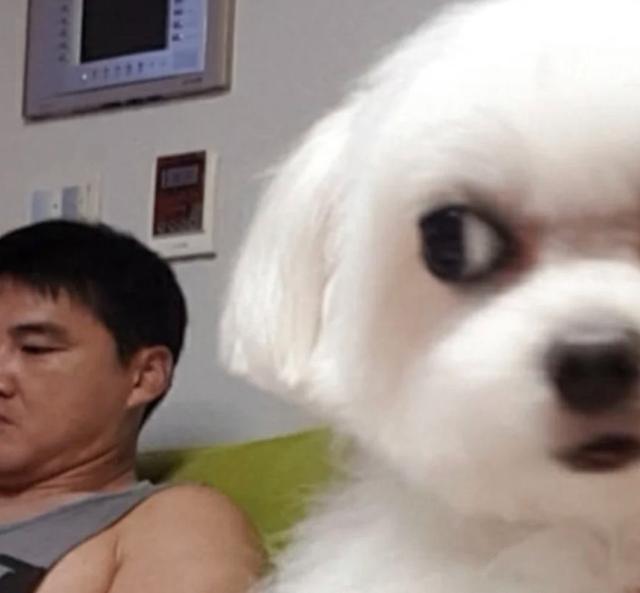 如何照顾好宝宝？分享几个照顾宝宝的正确方式，一起来涨知识