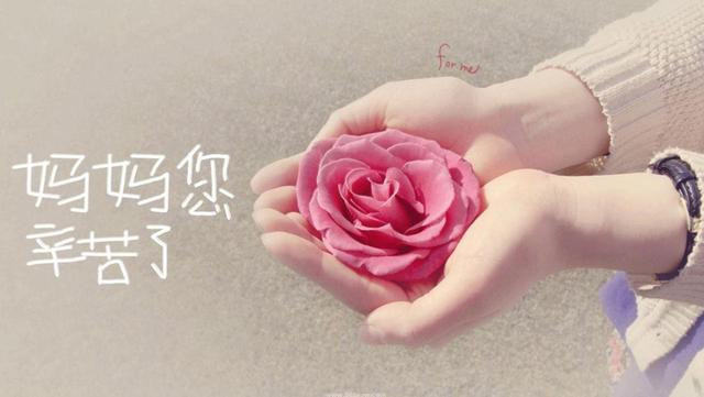 写给妈妈的话唯美简短（歌颂母亲的优美句子）