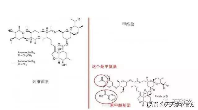 阿维菌素能杀夏季的大多数虫害，但为什么有人说越来越不好用了？4