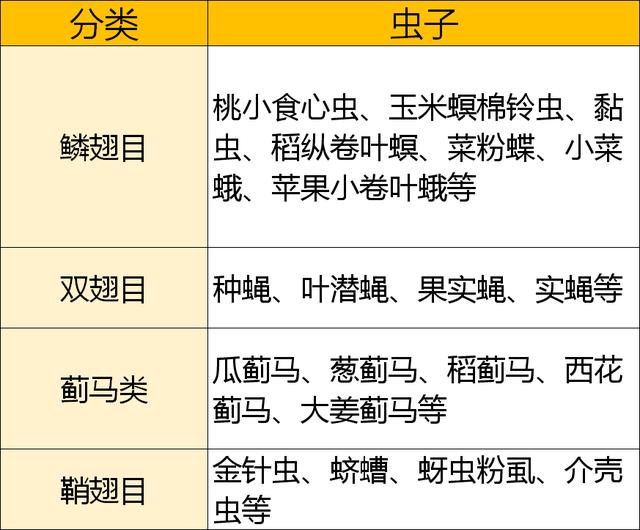 当下流行的甲维盐你用对了吗？来看看如何搭配效果更好1