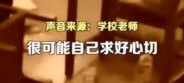 七年教龄依然暴躁，女教师掀翻六张课桌后道歉：这条底线绝不能碰