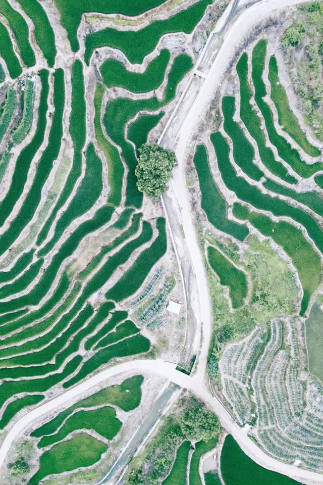 浙江削液过滤机