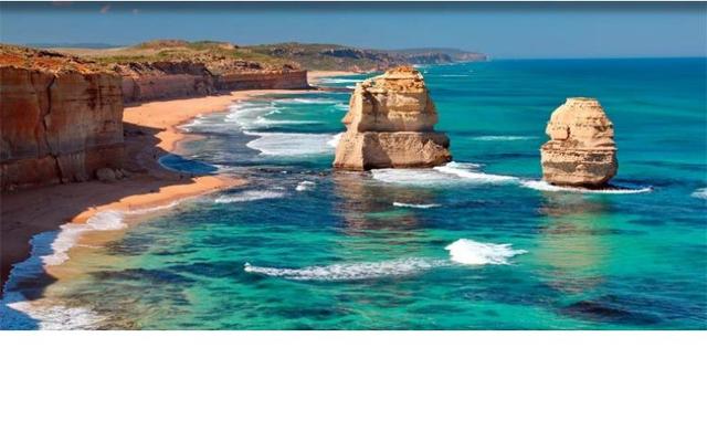 八字脑珊瑚摆位置