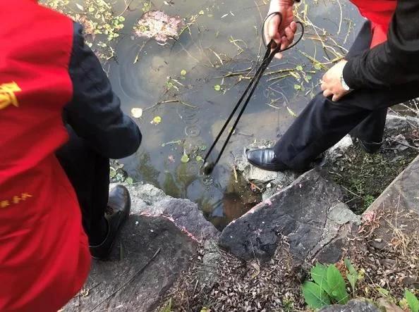 头疼起鸡皮疙瘩恶心