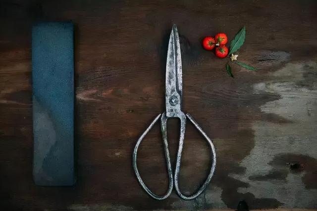 王麻子破产张小泉上市，瑞士军刀遍天下，同样是刀为何大不相同？