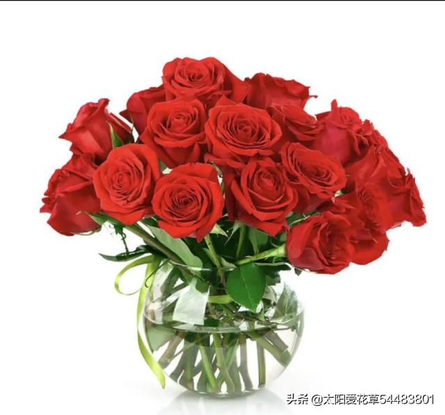 情人节花 情人节花（情人节花店橱窗设计） 生活