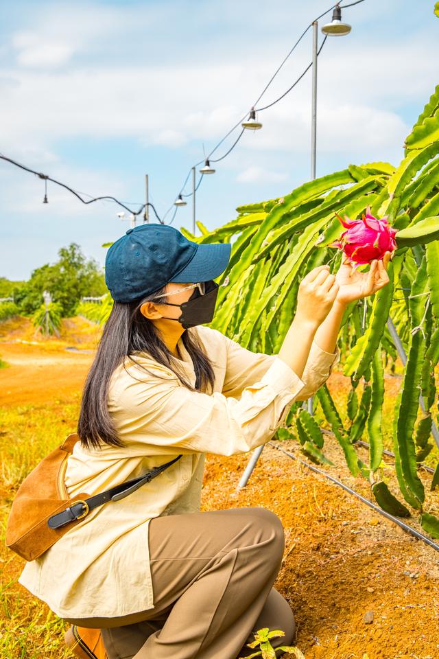 梦想牌过滤机效果到底好不好