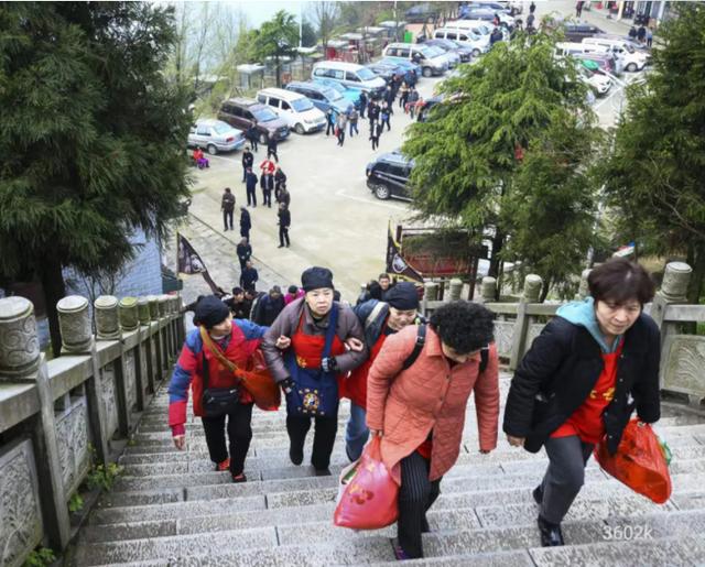 鸟声是云山悠然的种子//邹三龙