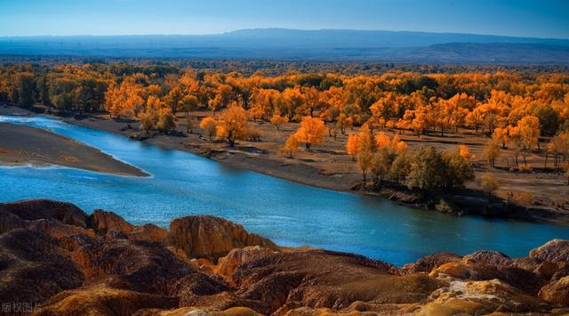 在基础教育领域里，是否真的能够遵从儿童的天性