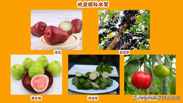 水果有哪些 水果有哪些（水果有哪些形状） 生活