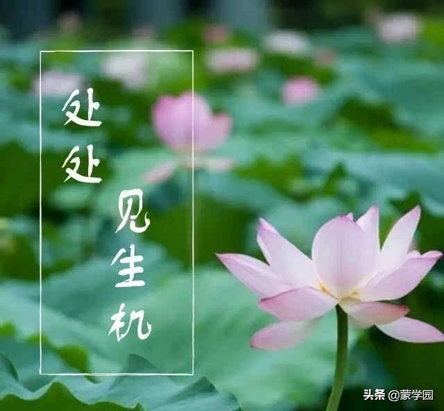 35个人生哲理经典语段，告诉你：学会调节，知足常乐