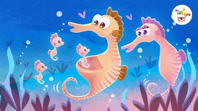 海马属于鱼类吗