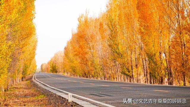 张掖过滤机