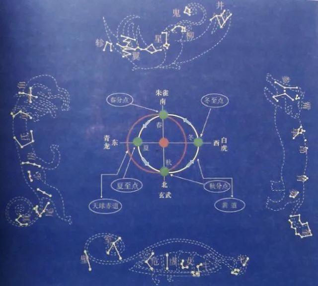 家有青龍樹 子孫不難富 青龍樹到底指的是什麼 你家有嗎 Kks資訊網