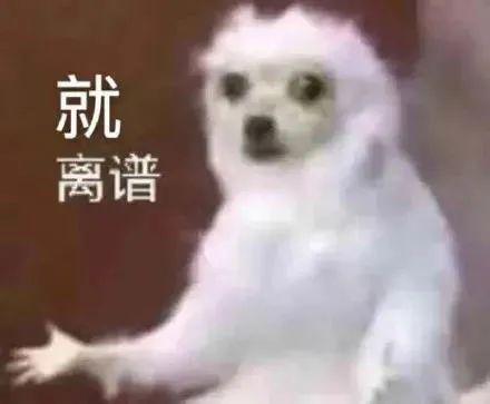大型双槽洗砂机